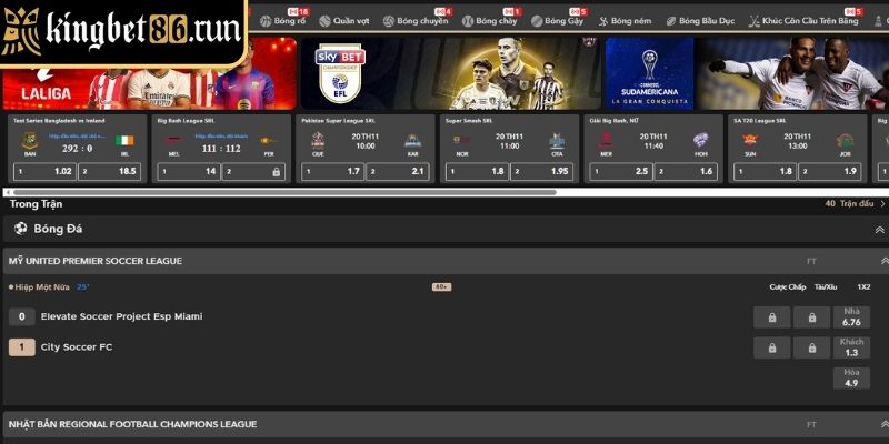 Cập nhật kết quả nhanh chóng
